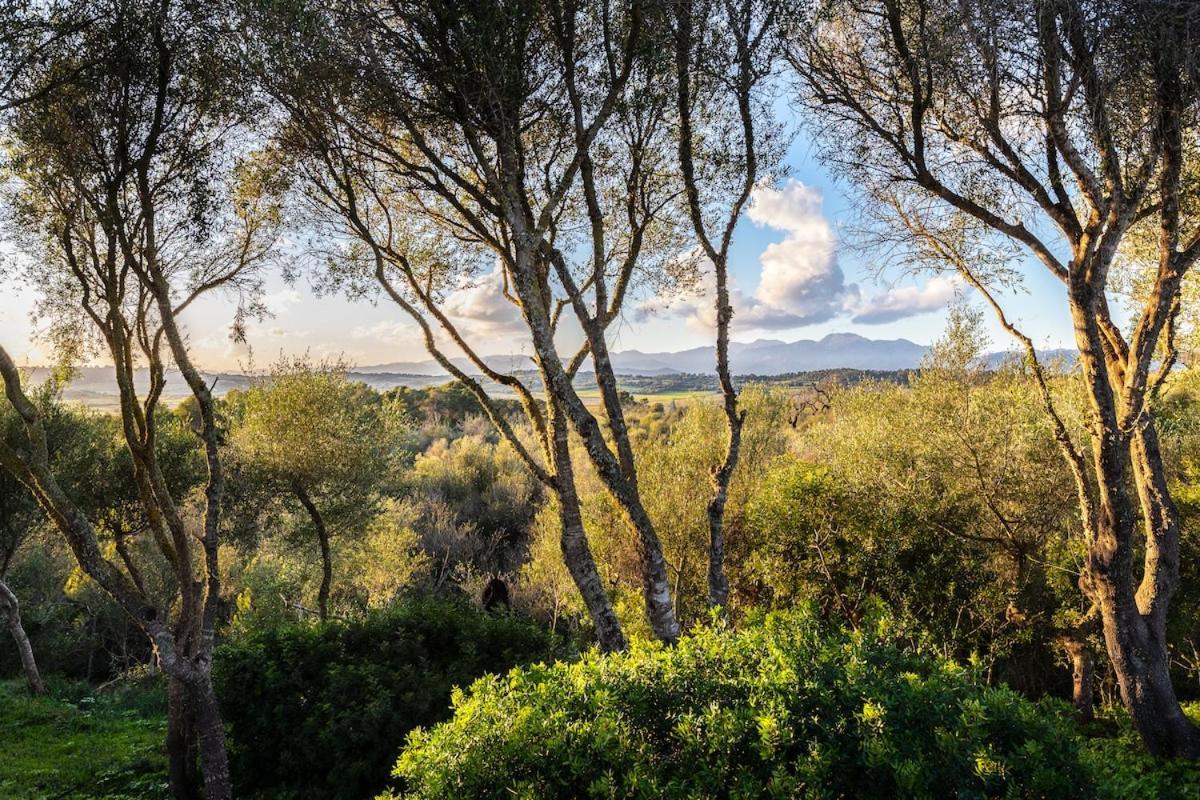 Finca Es Pujol Maria De La Salut Luaran gambar